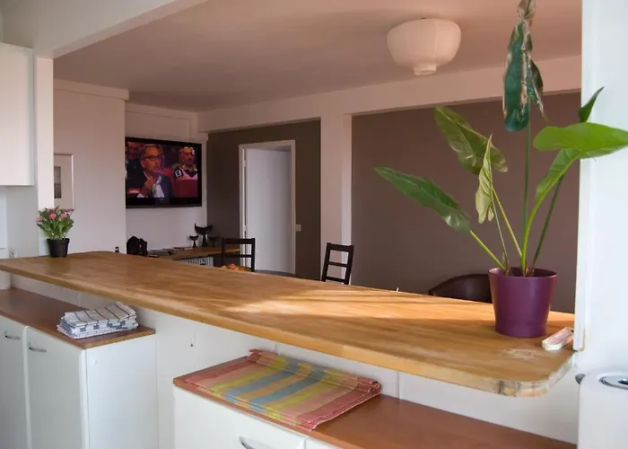 Moderne Et Lumineux Appartement